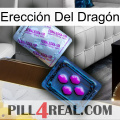 Erección Del Dragón 37